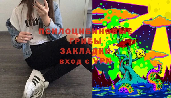 a pvp Бородино