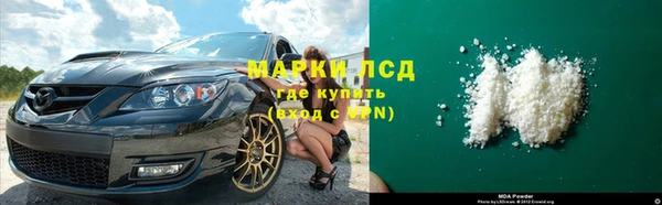 a pvp Бородино