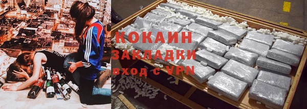 a pvp Бородино
