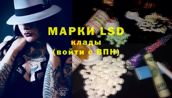 a pvp Бородино