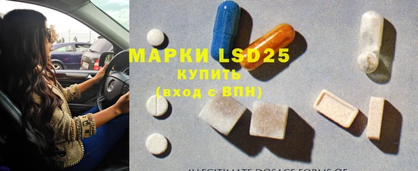 a pvp Бородино