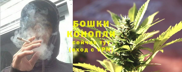 a pvp Бородино